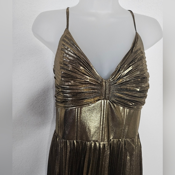 NWT Banana Republic Raggiera Pleated Gold Metallic Maxi Dress Corset Bodice - Picture 6 of 16